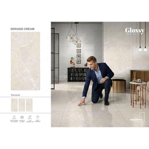 Dyna Supremo 24x48 Inch Glossy Polished Porcelain <b>Wall</b> Floor Tiles Premium Travertine Collection 20mm Firebrick - Product Image 3