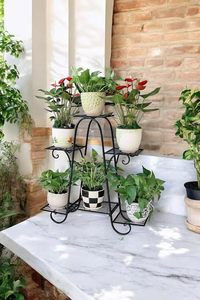 Modern Metal Flower Stand With 3 Tiers For Indoor <b>Plants</b> And <b>Pots</b> Powder Coated Finish Home Decor - Product Image 5