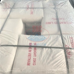 Poudre de chaux hydratée chaux éteinte 200 maille 95% pureté Vietnam usine exportant la qualité pour l'exploitation minière et l'agriculture - Product Image 5