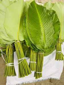 HERMOSAS HOJAS DONG FRESCAS/SECAS DE VIETNAM - LA DONG TUOI-PARA UN SABROSO TET DE VACACIONES - Product Image 2