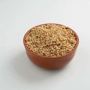 Blé entier indien séché de qualité supérieure, en vrac, pour l'alimentation humaine et animale, durée de conservation de 18 mois, teneur en fibres - Product Image 2