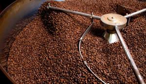Café Robusta de qualité supérieure du Vietnam, grains entiers torréfiés, torréfaction moyenne, café en vrac OEM ODM, export, café en grains entiers de qualité supérieure - Product Image 4