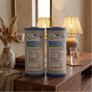 Filtre à eau purificateur CTO PLUS pour la maison, double certification NSF et WQA, fraîcheur toute saison - Product Image 1