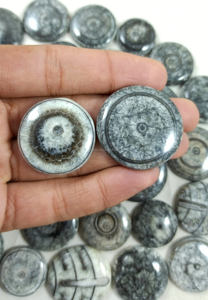 Top qualité naturel beau fossile orthoceras lâche pierres précieuses Cabochon guérison fossile pierres précieuses en gros pierres précieuses - Product Image 3