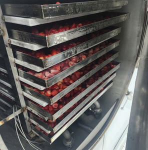 สตรอว์เบอร์รี FD ผลิตในเวียดนาม ขายดี พร้อมส่ง สตรอว์เบอร์รีกรุบกรอบ ลดราคาสุดคุ้ม ราคาถูก รับผลิตแบบ OEM ODM บรรจุภัณฑ์ขายส่ง - Product Image 5