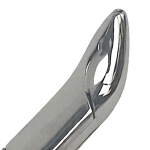 Pinzas de Extracción Dental # Instrumento de Extracción de Dientes Inferiores con Puntas Dentadas 150AS, Herramienta Quirúrgica de Acero Inoxidable, Manual - Product Image 5