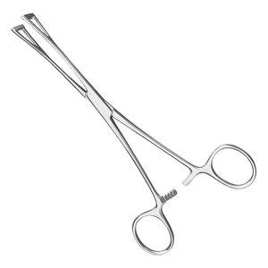 Forceps Babcock manuel en acier inoxydable de qualité médicale AHI, certifié CE ISO13485, réutilisable, qualité professionnelle - Product Image 1