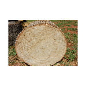 Bois de chauffage en chêne de qualité supérieure fourni en vrac pour le chauffage et la cuisson - Product Image 3