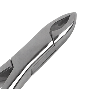 Forceps d'extraction dentaire # Instrument manuel d'extraction dentaire en acier inoxydable pour racines de canines supérieures centrales 213 - Product Image 4