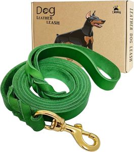 Correa de Cuero para Perro, Color Verde Sólido, Acolchada, Estilo Clásico con Herrajes de Latón para Perros Medianos - Product Image 1