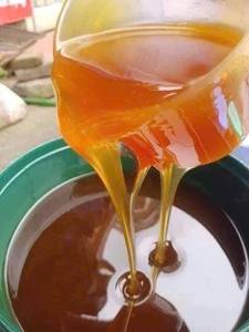 Wholesale Pure Honeycomb & Honey Bottles | Bulk Natural Honey Supply | Export Quality from Vietnam - Ms.Tarina - Product Image 3