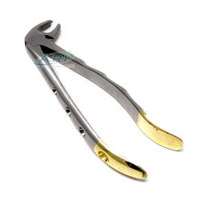 Pinzas Quirúrgicas Dentales de Acero Inoxidable de Alta Calidad, Instrumentos para Extracción de Dientes - Product Image 2