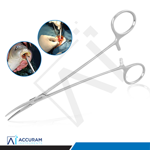 Pinza Hemostática Curva de Acero Inoxidable Micro Halsted con 1x2 Dientes, Instrumento Quirúrgico Dental Manual - Product Image 6
