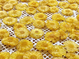 Rodajas de Piña Seca Dulce 99 Gold Data para Paquetes de Snacks, Uso en Panadería, Empaque al Vacío a Granel, Regalo, Alta Calidad - Product Image 4