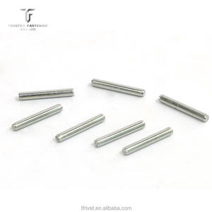 Pinos de Localização Cilíndricos de Aço Inoxidável OEM GB119.1 com Acabamento Brilhante e Sem Revestimento, Diâmetro da Cabeça de 3mm - Product Image 1