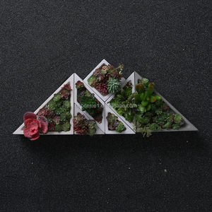 <span class=keywords><strong>Pot</strong></span> de plante <span class=keywords><strong>en</strong></span> béton minimaliste avec support <span class=keywords><strong>en</strong></span> métal Design surélevé Idéal pour les plantes de serpent Cactus Intérieurs de maison modernes - Product Image 5