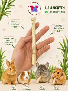 Palitos de Caña de Azúcar Seca para Conejos, Hámsteres y Cobayas |   Apoya la Salud Dental y el Mordisqueo Natural |   Suministro al por Mayor - Product Image 4