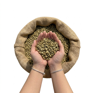 2026 New Crop Vietnam Son La Robusta Green Coffee <b>Beans</b> Grade 1 60kg <b>Bag</b> Bulk Wholesale Supplier - Product Image 1
