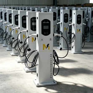 Estación de Carga para Vehículos Eléctricos Tipo 1 y Tipo 2 GB T Plug AC 22kw para el Mercado Global, Proyecto Comercial <span class=keywords><strong>Electrolinera</strong></span> - Product Image 2