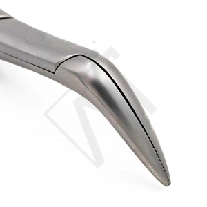 Forceps d'extraction dentaire Accuram en acier inoxydable, forceps pour enlever les racines des dents, instrument chirurgical d'extraction dentaire, outil CE - Product Image 3