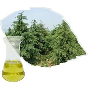 שמן אתרי מחוטי אורן טהור 100% טבעי, סיטונאי, בטעמים תעשייתיים, בושם מרוכז, שמן אורן 85%, 65%, 50% - Product Image 3