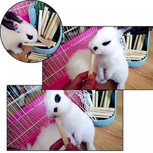 Bâtonnets à mâcher en canne à sucre naturelle séchée, pelée, pour petits animaux, nettoyage des dents, jouet pour animaux de compagnie, carton de 10 kg, fabricant fournisseur ANGLE - Product Image 2