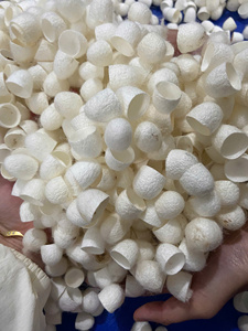 Cocon de Soie de Mûrier Jaune Demi-Coupé, Fibre de Soie Naturelle Teinte, Filament de Cocon pour l'Artisanat Textile - Product Image 3