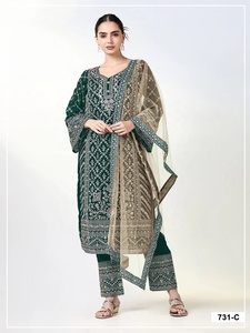 Salwar Kameez pakistanais pour mariage, très demandé, idéal pour les fêtes, disponible au meilleur prix auprès d'un exportateur indien. - Product Image 3