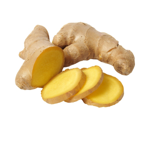 Gingembre frais du Vietnam – Racine entière pour les marchés internationaux - Product Image 1