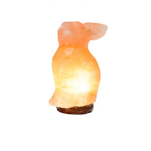 Custom Logo High Grade Himalayan Pink <b>Crystal</b> Salt Lamp Electric Induction Lamps Contemporary Home Office Gift Indoor Decor - Product Image 1
