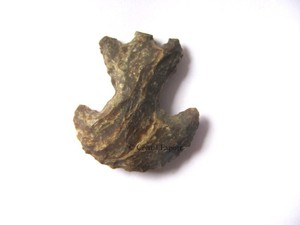 Fournisseur de Clovis Points 4 pouces: Clovis Points 4 pouces à vendre - Product Image 3