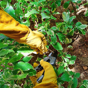 High Custom Cowhide Leather Gardening <b>Gloves</b> Men Women Breathable Rose Pruning Thorn-Proof Safety <b>Gloves</b> Windproof <b>Moisture</b> - Product Image 6