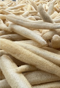 Vietnam Dried Loofah Sponge for Bath Scrubbing Kitchen Cleaning and Personal Care - Product Image 5
