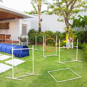 Set di 8 Pali Regolabili per Agility con Anelli di Salto, Scatola Quadrata per Pausa, Attrezzatura per Addestramento Cani, Fischietto e Percorso a Ostacoli - Product Image 2