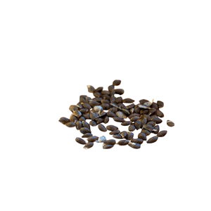 Competitive Price Premium Quality Best Selling Natural Dried Passion Fruit <b>Seeds</b> <b>Packed</b> in Various Size Bags - Product Image 1