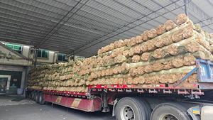 งานหัตถกรรมจากหญ้าทะเลทำจากเวียดนามความยาว1.2เมตร2.0เมตรทางการเกษตรธรรมชาติ - Product Image 4