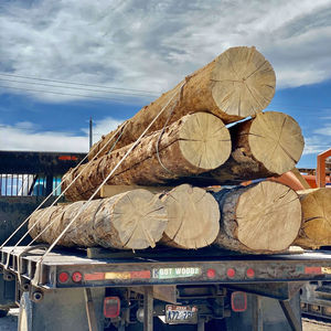 Balsa Stick : Bandes de balsa pour modélisme, bois de balsa artisanal d'usine, 1000mm*1mm, variété de bois - Product Image 1