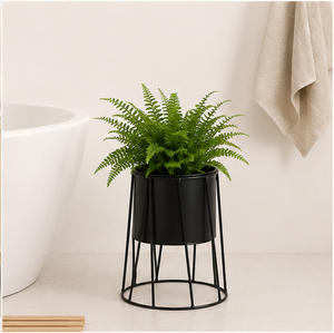 Modern Minimalist Metal Plant <b>Stand</b> with Detachable Planter <b>Pot</b> Matte Black Wrought Iron Flower Holder for Indoor Living Room - Product Image 4