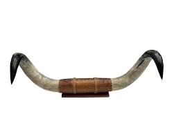 Cuerno de búfalo Natural de toro montado, vajilla para el hogar, cuerno de toro montado, hogar decorativo, producto de venta caliente por HF CRAFTS - Product Image 2