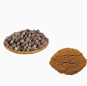 Polvo de Semillas de Moringa 100% Natural de Calidad de Exportación, Grado Cosmético Puro, Polvo de Semillas de Moringa Secas, Favorece el Crecimiento y la Fuerza del Cabello - Product Image 3