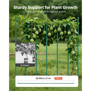Lot de 25 piquets de tomate en métal recouverts de plastique de 82,68 pouces, picots antidérapants, support pour plantes de jardin, treillis de croissance, modèle de portails - Product Image 2