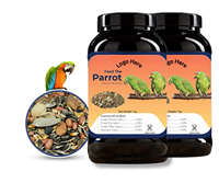 Mezcla de Semillas Orgánicas Premium OEM de Alto Contenido Proteico para Aves, para Cotorras y Agapornis - Semillas de Girasol para el Apoyo Inmunológico y la Salud Digestiva