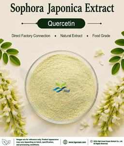 Suministro directo de fábrica HGO extracto puro natural de Sophora Japonica (grado alimenticio) Especificación quercetina 90% (extracto estandarizado) - Product Image 1