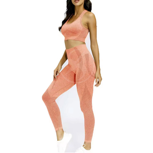 Conjuntos Deportivos de Yoga para Mujer, 2 Piezas, Leggings de Yoga, Ropa de Yoga Femenina, Logotipo Personalizado, OEM y ODM - Product Image 2