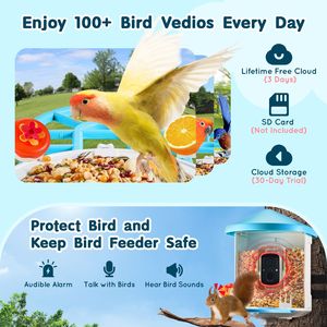 Mangiatoia per Uccelli Intelligente a Energia Solare con Telecamera HD 2K e IA per l'Identificazione di Oltre 10.000 Specie di Uccelli, Impermeabile, con Cattura Automatica per il Birdwatching - Product Image 3