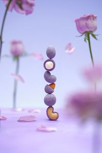 ช็อกโกแลตดรากีขายดีจากโรงงาน ผู้ผลิตขายตรง รับผลิตแบบ OEM/ODM ฮาลาล 150 กรัม ช็อกโกแลตรูปดอกกุหลาบเคลือบอัลมอนด์ เม็ดมะม่วงหิมพานต์ และแมคคาเดเมีย - Product Image 6