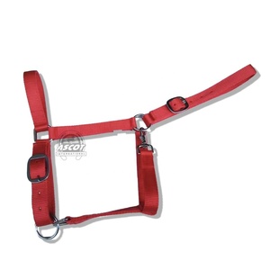 Accesorios de sillín inglés de calidad superior Logo personalizado Halter de nailon con grabado Accesorios para montar a caballo - Product Image 5