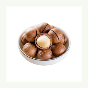 Fournisseur en gros de noix de macadamia, prix bas, qualité nutritive, qualité d'exportation - Product Image 6
