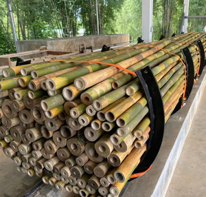 High Grade Bamboo <b>Pole</b> Cheap Price LOW TAX -Wholesale Raw Bamboo - <b>Garden</b> Support - Product Image 2