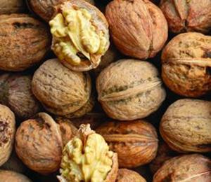 Noix blanchies biologiques en coque, qualité alimentaire supérieure, naturelles et saines, en vrac, séchées, au meilleur prix - Product Image 4